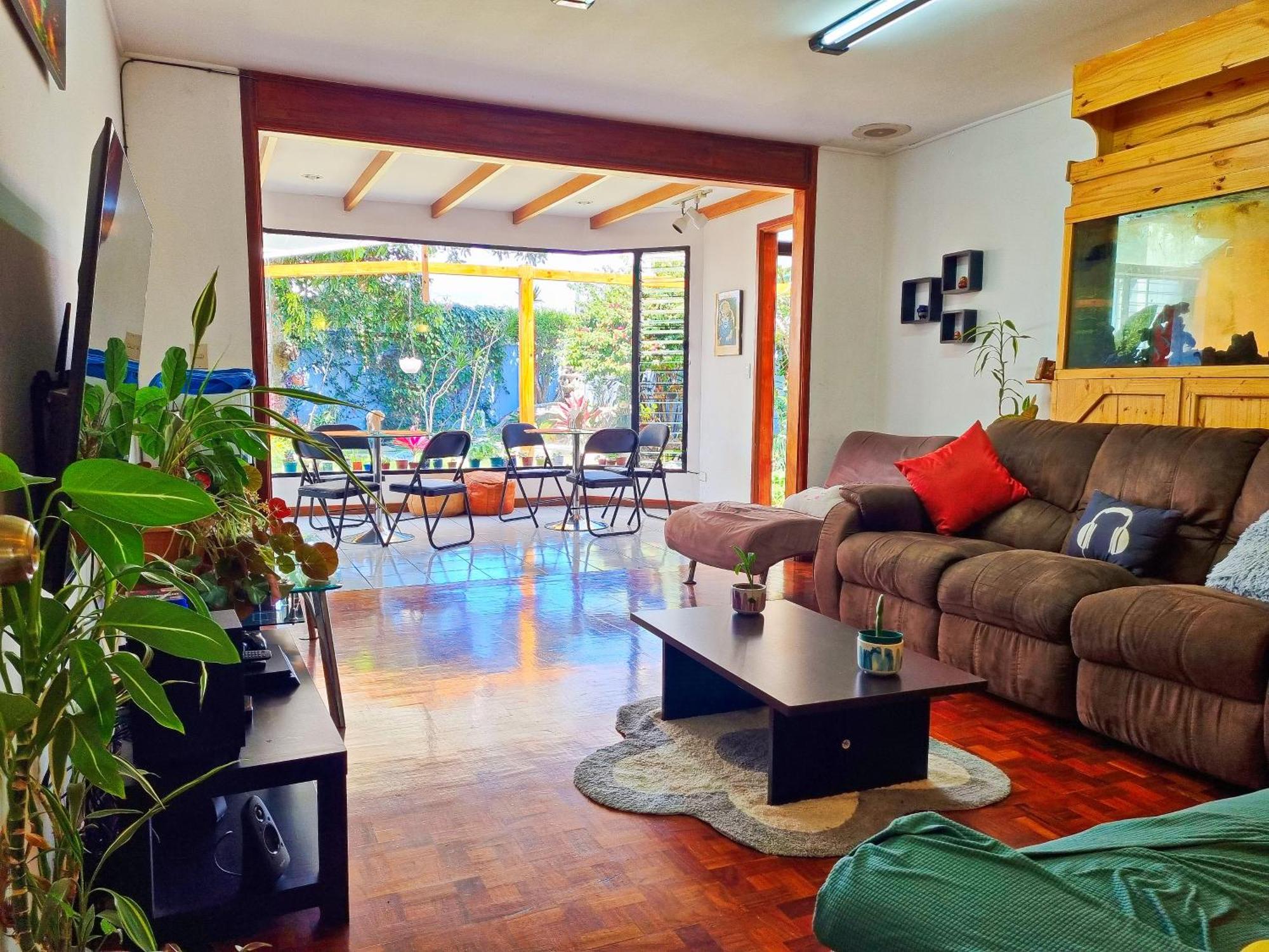 Casa Jardin del Mango San Jose (San Jose) Exterior foto