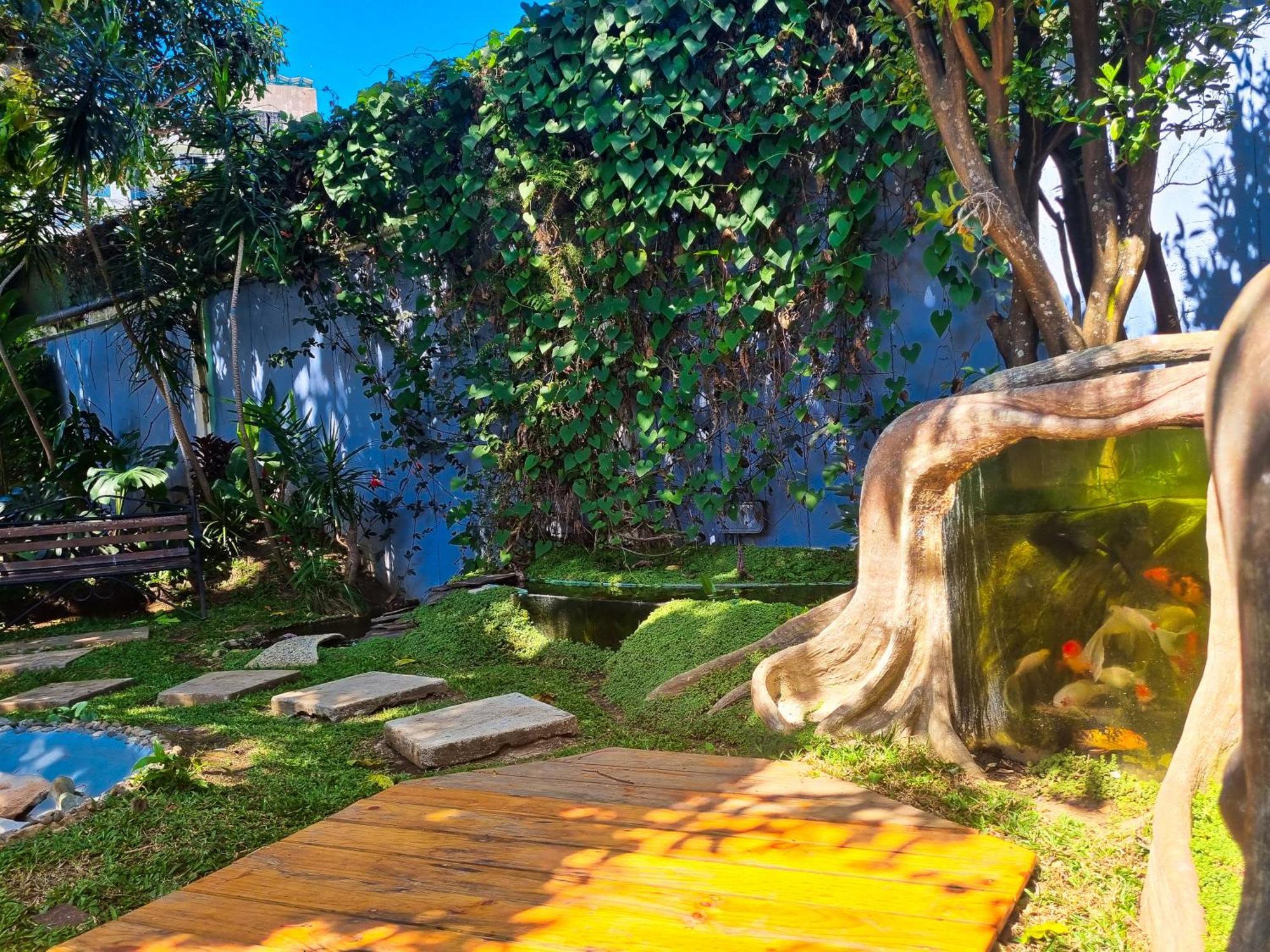 Casa Jardin del Mango San Jose (San Jose) Exterior foto