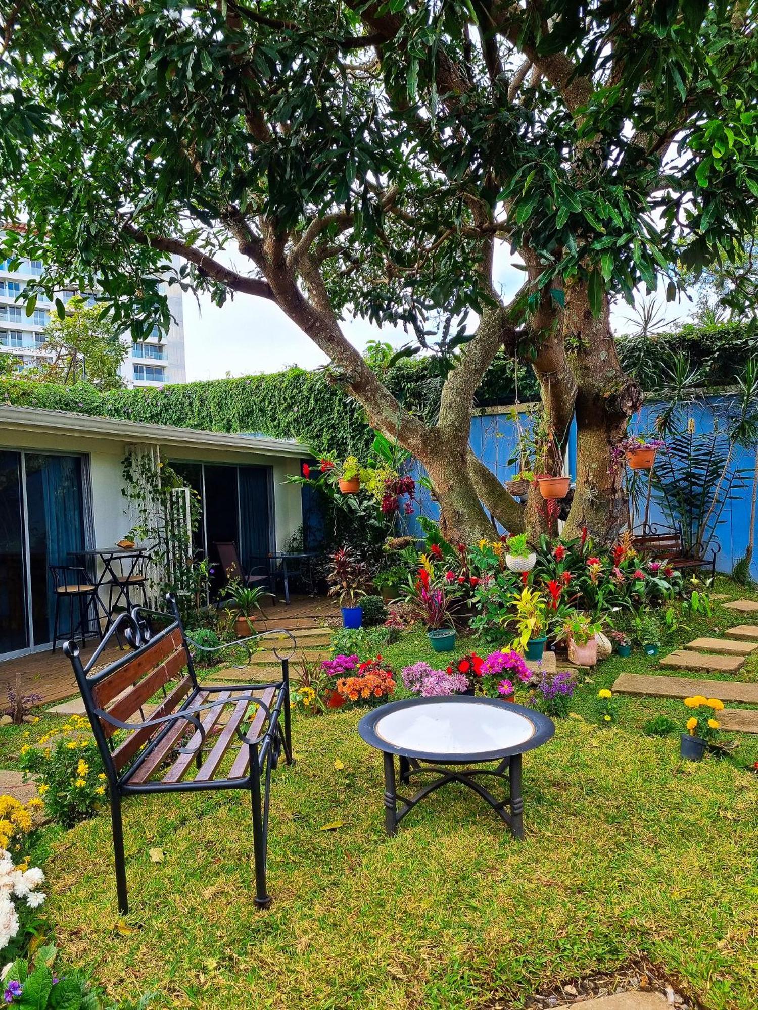 Casa Jardin del Mango San Jose (San Jose) Exterior foto