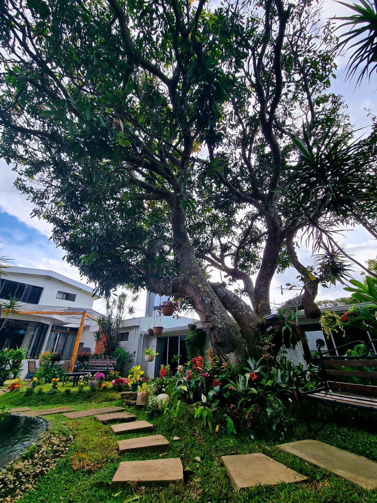 Casa Jardin del Mango San Jose (San Jose) Exterior foto